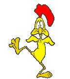 C'est la danse des canards !...